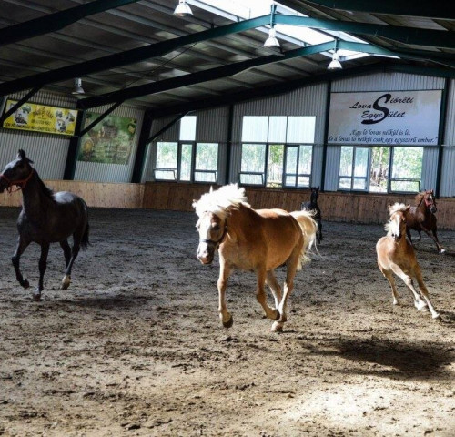 Centrul Equestru Sióréti