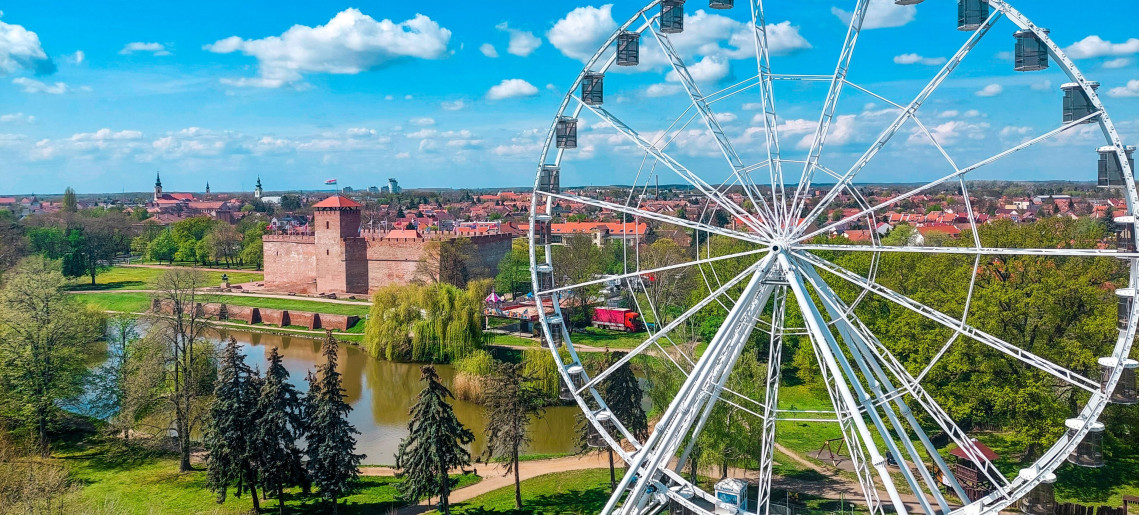 Ferris Wheel in the Castle Garden