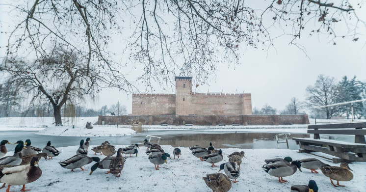 Gyula Castle