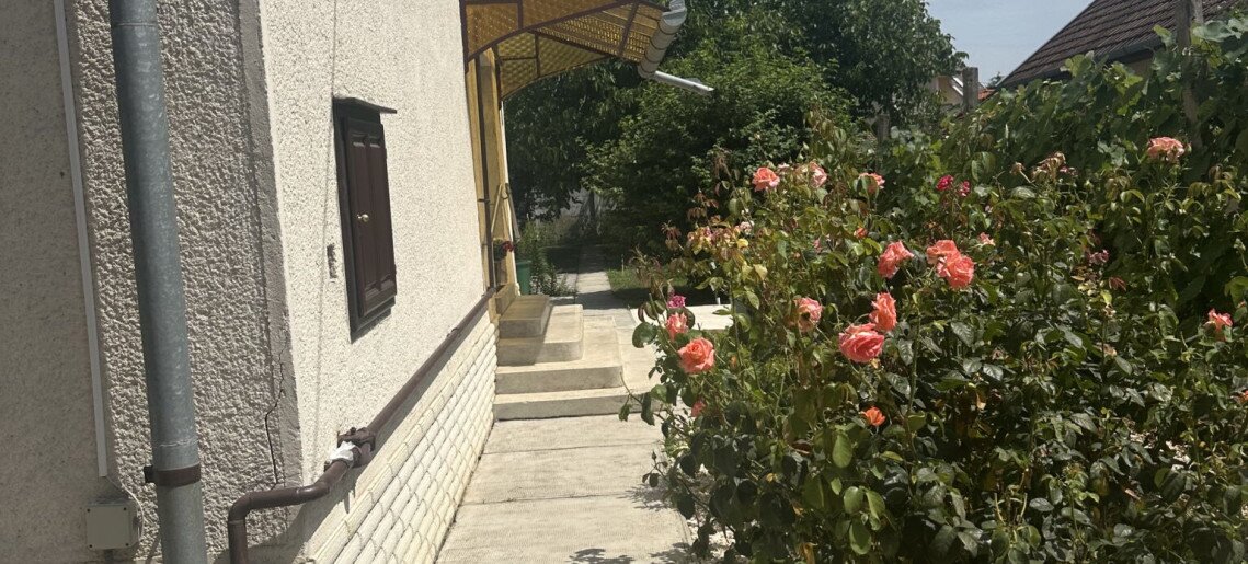 Szitakötő Apartman Gyula - 5