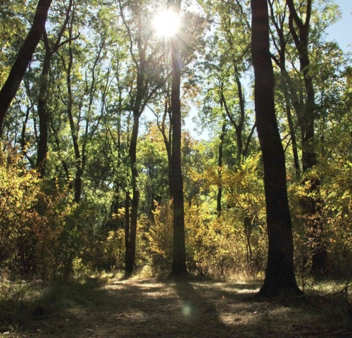 A rókaprémes sapka kerülendő