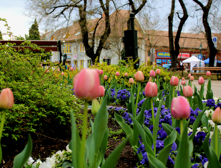 Húsvéti és tavaszi szüneti nyitvatartások városszerte