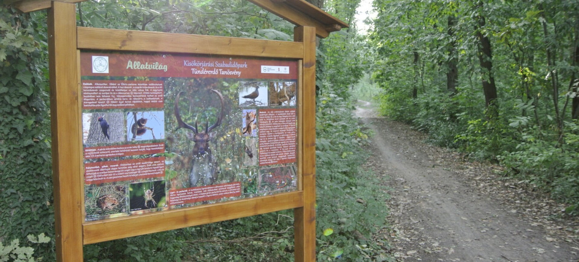 Kisökörjárási Fairy Forest Nature Trail