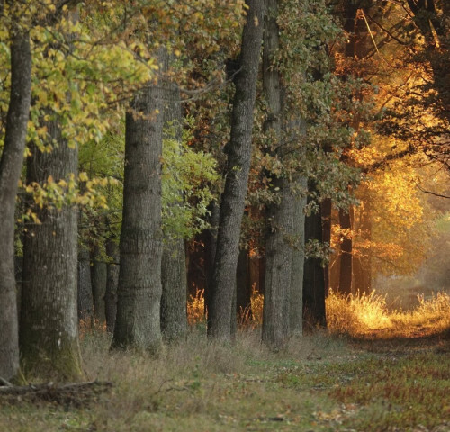 Körös körút - kiskör kerékpáros túra