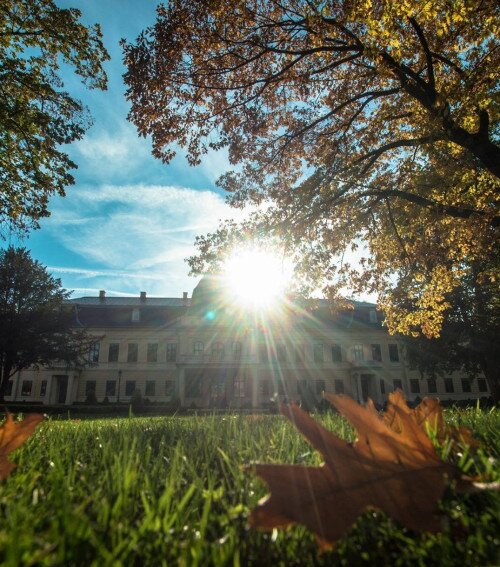 The Almásy Mansion Visitor Centre of Gyula