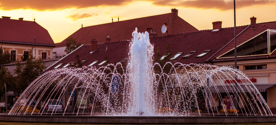 Walking tours in the historic downtown of Gyula