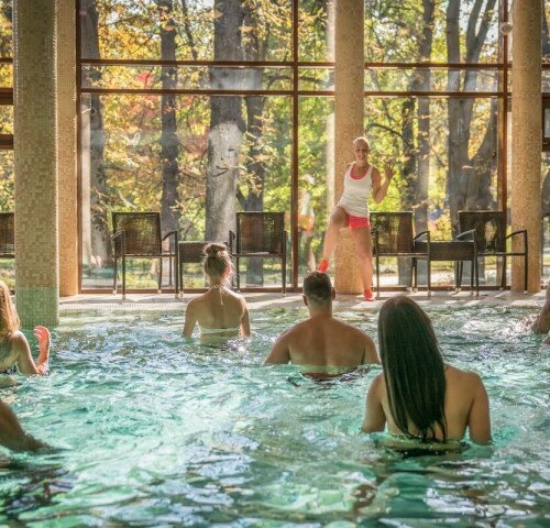 Wellness Hotel Gyula